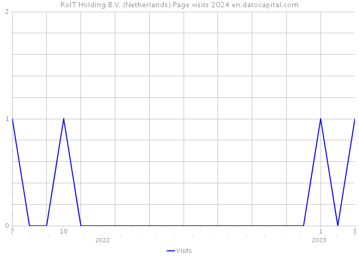RoIT Holding B.V. (Netherlands) Page visits 2024 