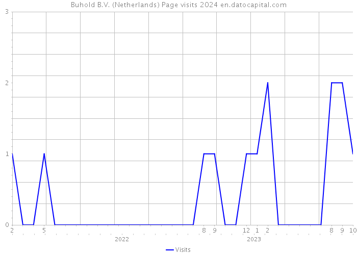 Buhold B.V. (Netherlands) Page visits 2024 
