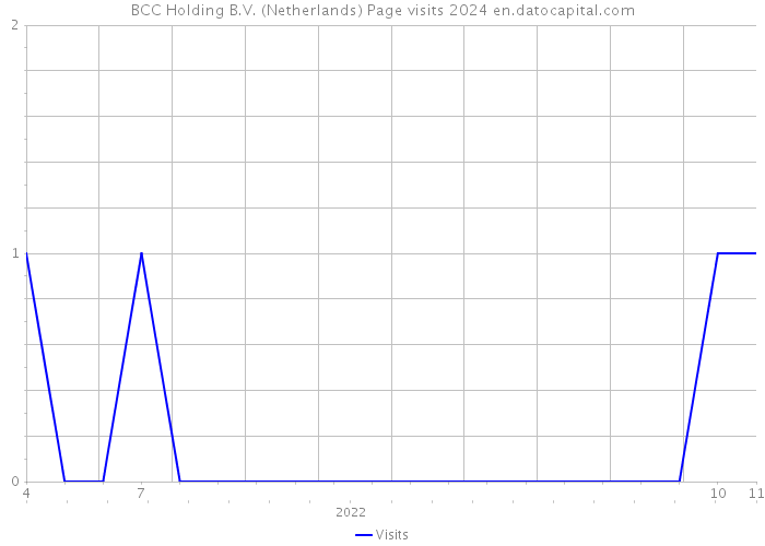 BCC Holding B.V. (Netherlands) Page visits 2024 