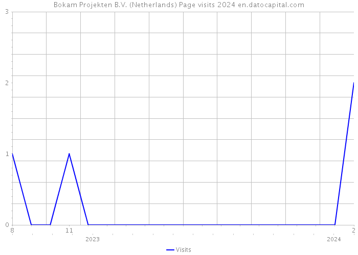 Bokam Projekten B.V. (Netherlands) Page visits 2024 