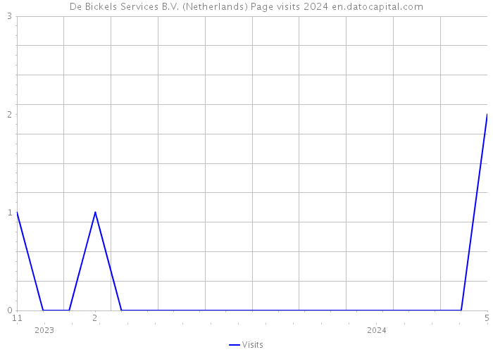 De Bickels Services B.V. (Netherlands) Page visits 2024 