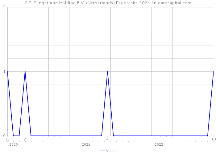 C.S. Slingerland Holding B.V. (Netherlands) Page visits 2024 