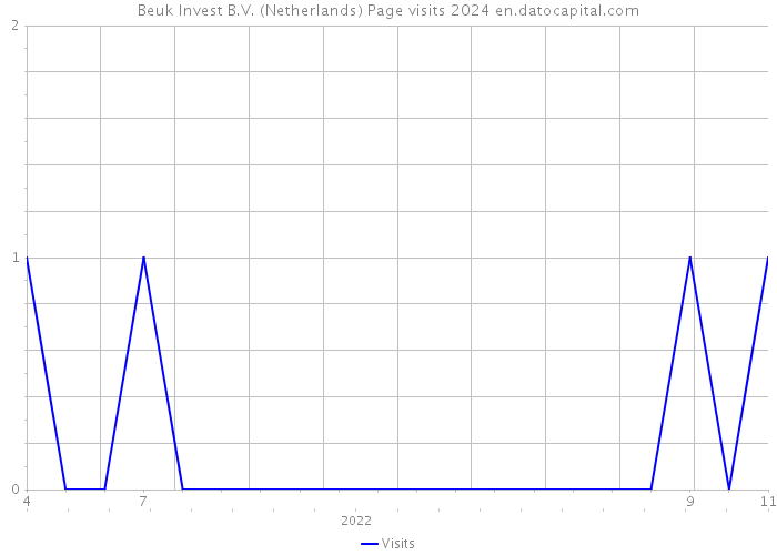 Beuk Invest B.V. (Netherlands) Page visits 2024 