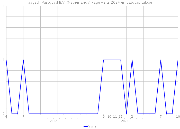 Haagsch Vastgoed B.V. (Netherlands) Page visits 2024 