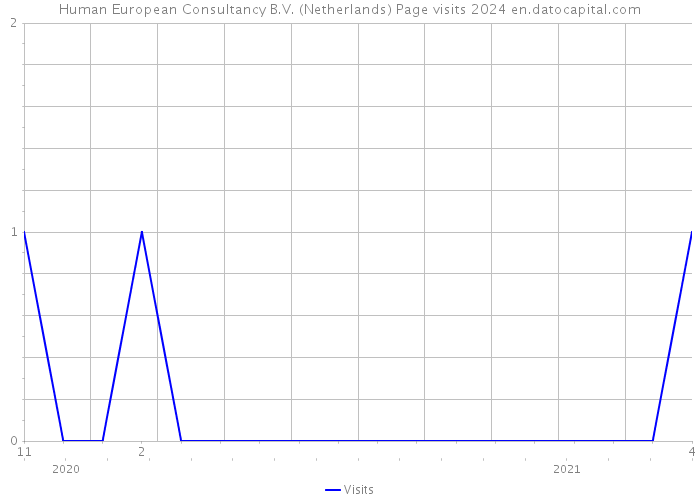 Human European Consultancy B.V. (Netherlands) Page visits 2024 