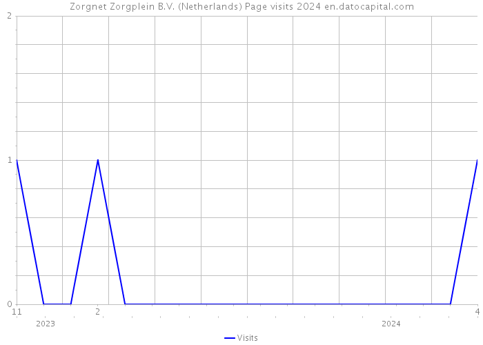 Zorgnet Zorgplein B.V. (Netherlands) Page visits 2024 