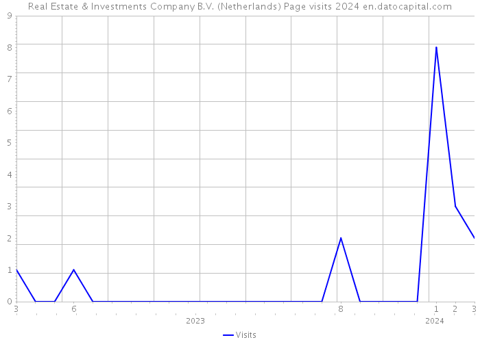 Real Estate & Investments Company B.V. (Netherlands) Page visits 2024 