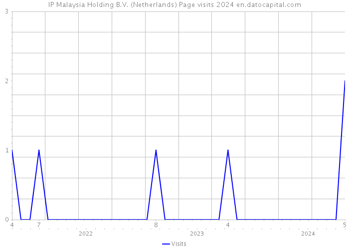 IP Malaysia Holding B.V. (Netherlands) Page visits 2024 