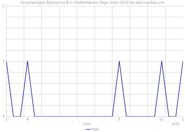 Groenewegen Enterprise B.V. (Netherlands) Page visits 2024 