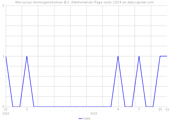 Mercurius Vermogensbeheer B.V. (Netherlands) Page visits 2024 