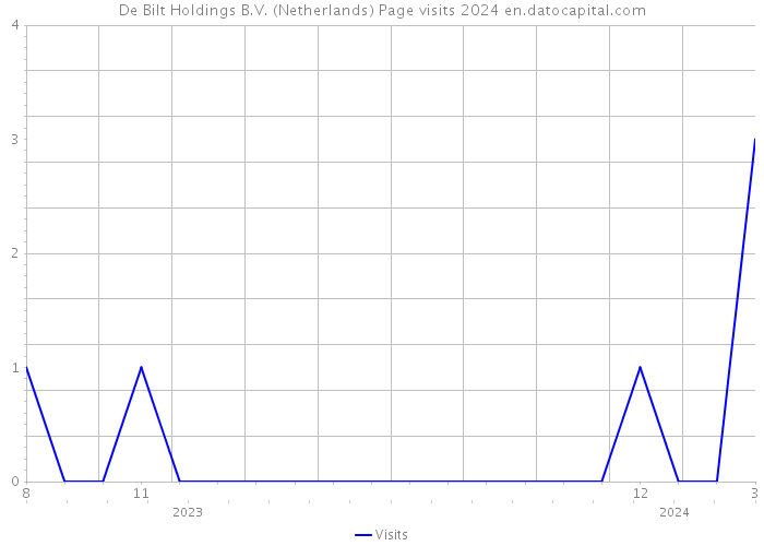 De Bilt Holdings B.V. (Netherlands) Page visits 2024 
