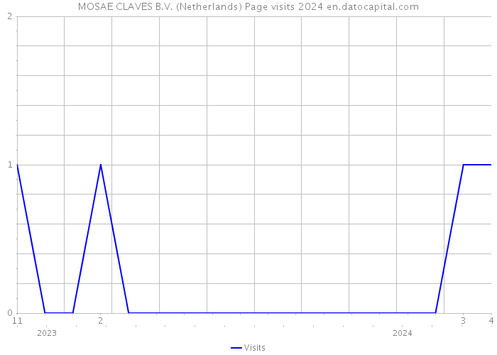 MOSAE CLAVES B.V. (Netherlands) Page visits 2024 
