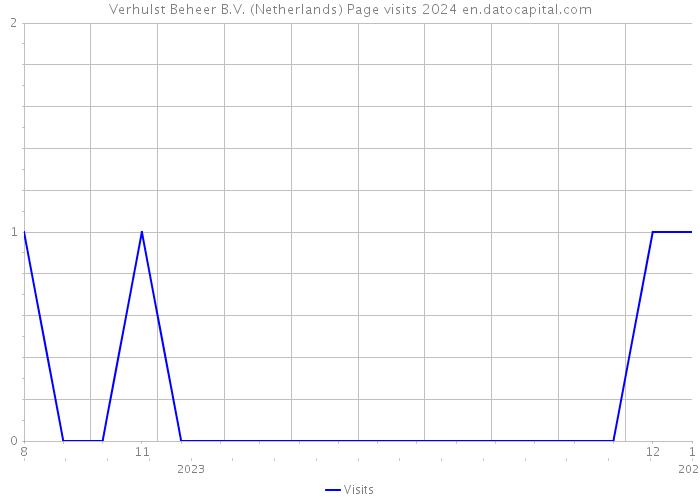 Verhulst Beheer B.V. (Netherlands) Page visits 2024 