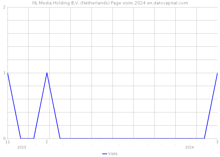 NL Media Holding B.V. (Netherlands) Page visits 2024 