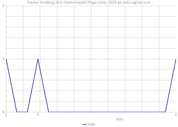 Ravine Holdings B.V. (Netherlands) Page visits 2024 