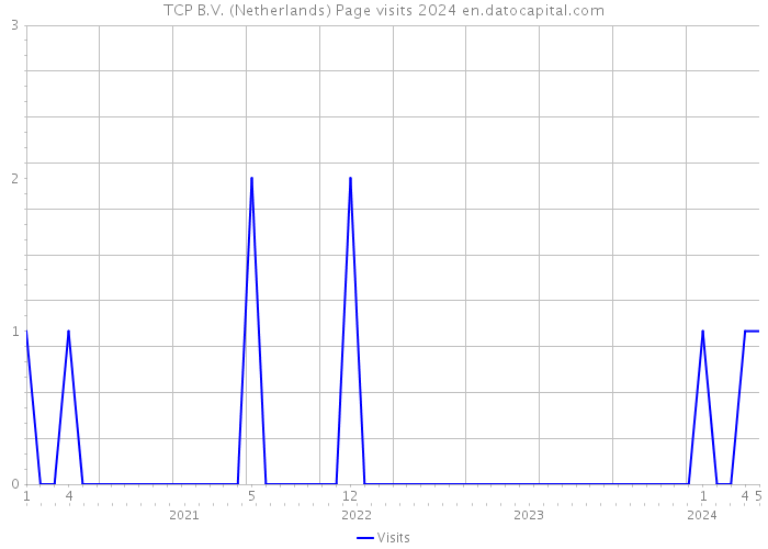 TCP B.V. (Netherlands) Page visits 2024 