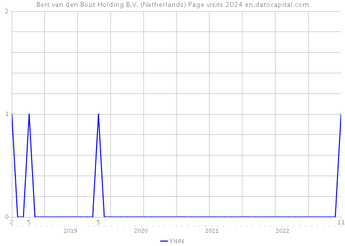 Bert van den Bout Holding B.V. (Netherlands) Page visits 2024 
