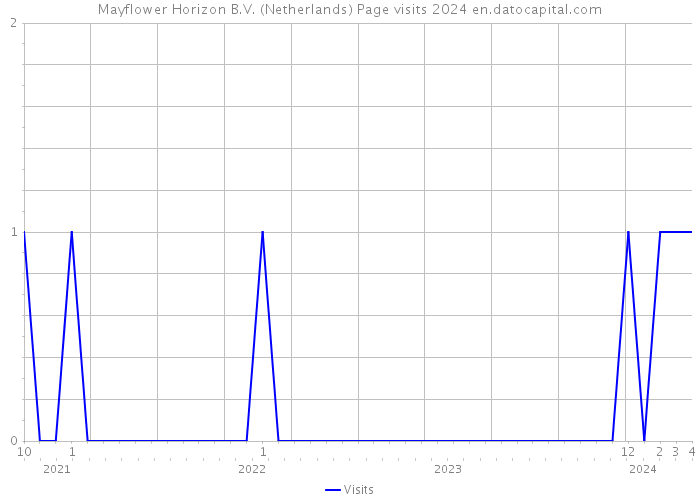 Mayflower Horizon B.V. (Netherlands) Page visits 2024 