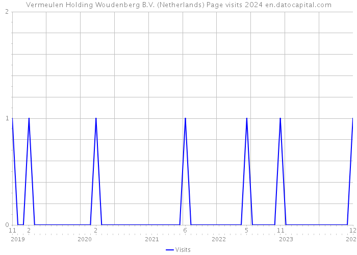 Vermeulen Holding Woudenberg B.V. (Netherlands) Page visits 2024 