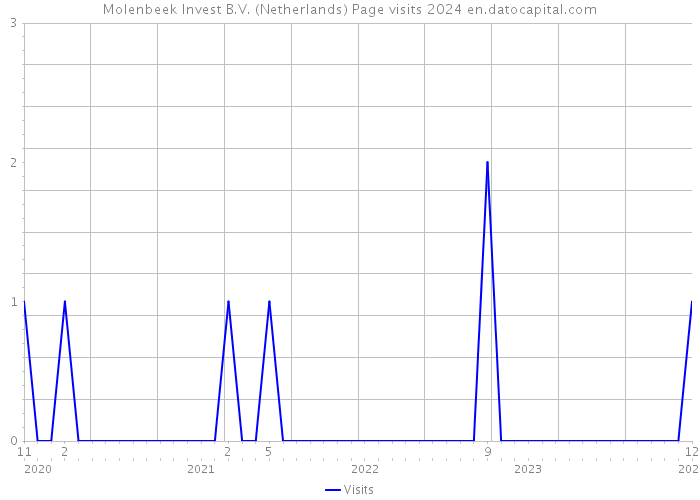 Molenbeek Invest B.V. (Netherlands) Page visits 2024 
