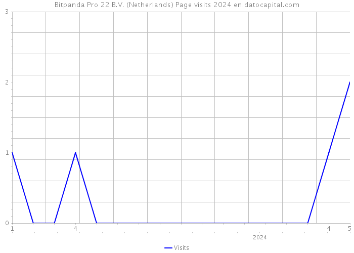 Bitpanda Pro 22 B.V. (Netherlands) Page visits 2024 