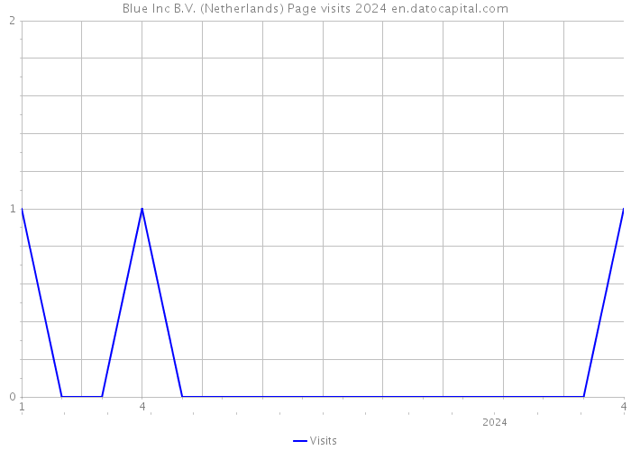 Blue Inc B.V. (Netherlands) Page visits 2024 