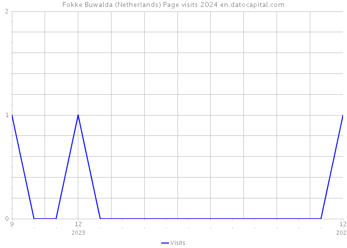 Fokke Buwalda (Netherlands) Page visits 2024 