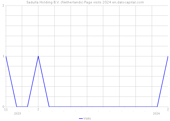 Sadulla Holding B.V. (Netherlands) Page visits 2024 