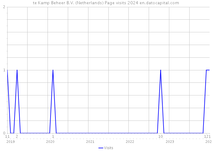 te Kamp Beheer B.V. (Netherlands) Page visits 2024 