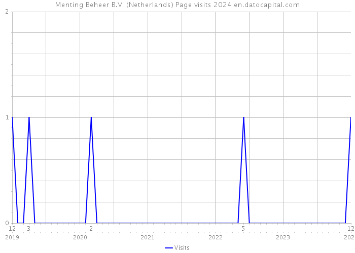 Menting Beheer B.V. (Netherlands) Page visits 2024 