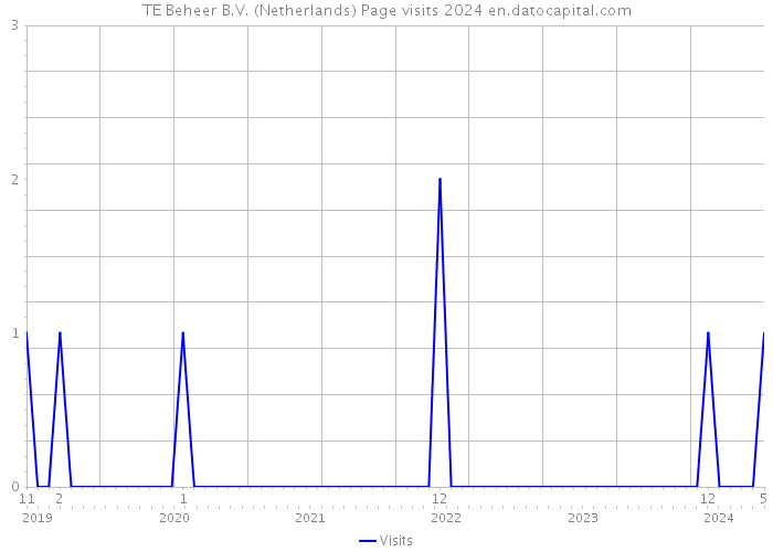 TE Beheer B.V. (Netherlands) Page visits 2024 