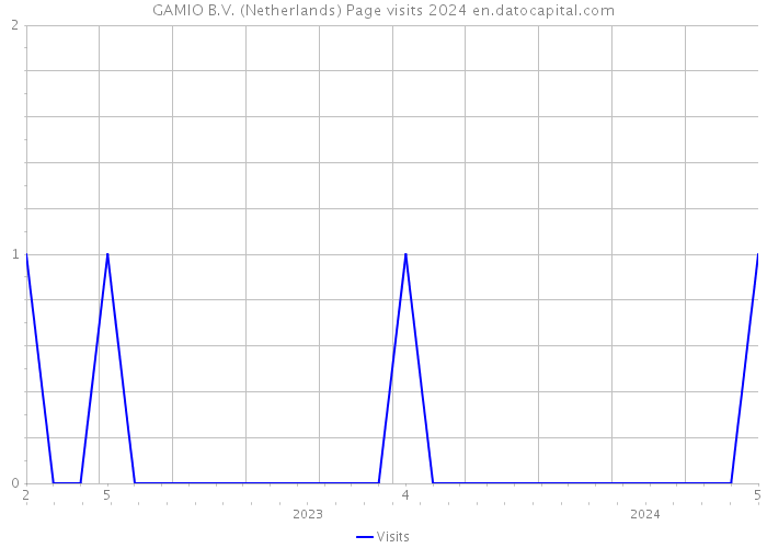 GAMIO B.V. (Netherlands) Page visits 2024 