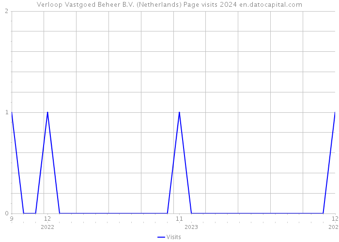 Verloop Vastgoed Beheer B.V. (Netherlands) Page visits 2024 