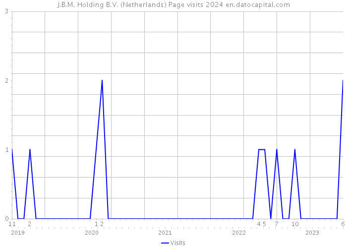 J.B.M. Holding B.V. (Netherlands) Page visits 2024 