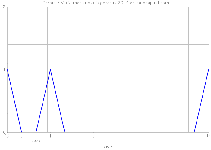 Carpio B.V. (Netherlands) Page visits 2024 