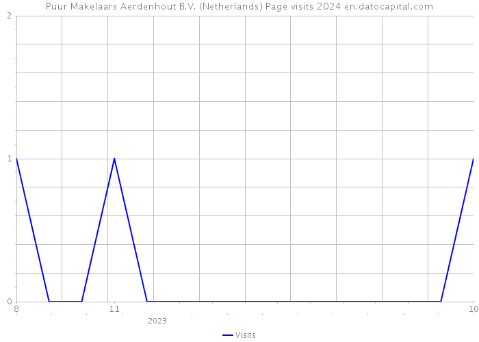 Puur Makelaars Aerdenhout B.V. (Netherlands) Page visits 2024 