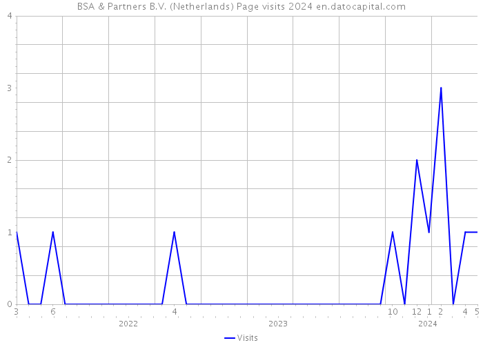 BSA & Partners B.V. (Netherlands) Page visits 2024 