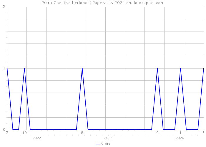 Prerit Goel (Netherlands) Page visits 2024 