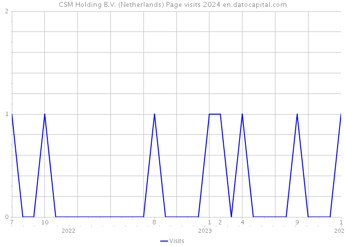 CSM Holding B.V. (Netherlands) Page visits 2024 