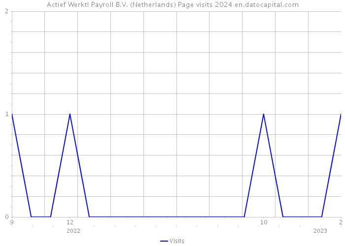 Actief Werkt! Payroll B.V. (Netherlands) Page visits 2024 