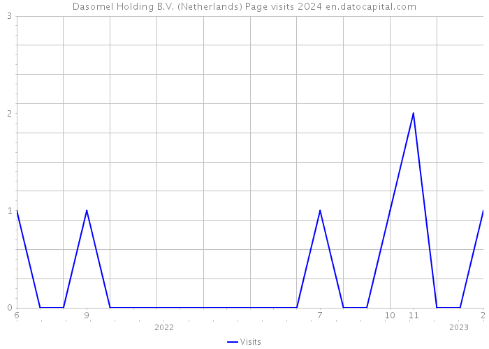 Dasomel Holding B.V. (Netherlands) Page visits 2024 