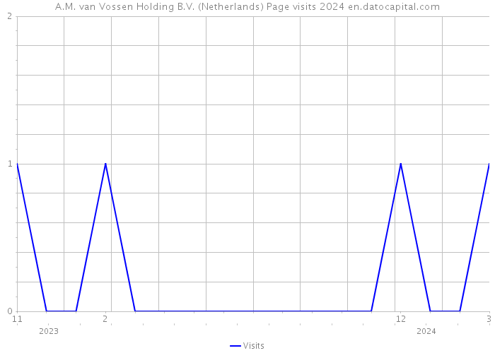 A.M. van Vossen Holding B.V. (Netherlands) Page visits 2024 