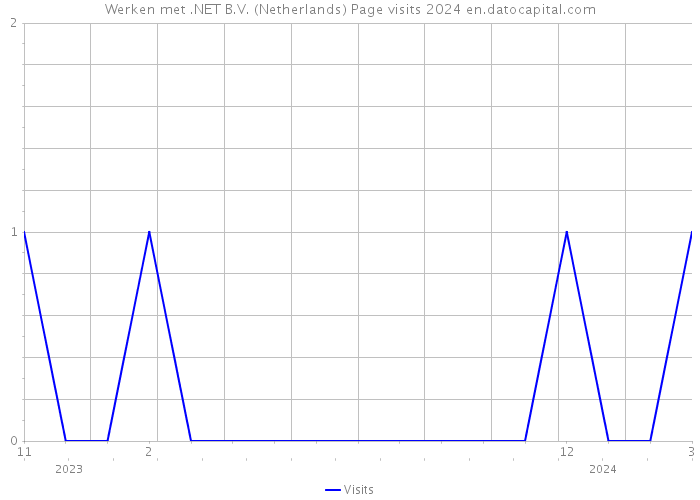Werken met .NET B.V. (Netherlands) Page visits 2024 