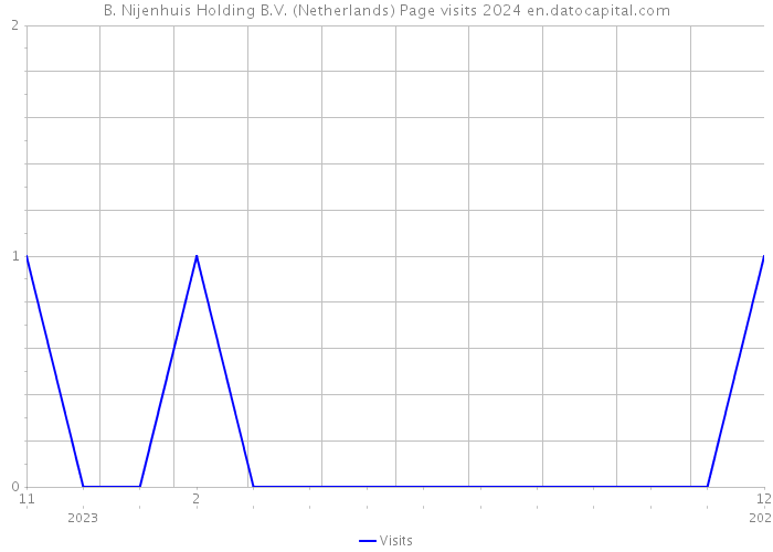 B. Nijenhuis Holding B.V. (Netherlands) Page visits 2024 