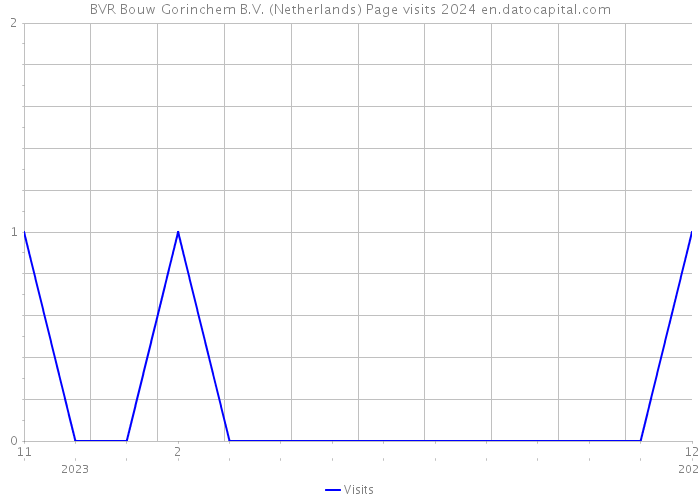 BVR Bouw Gorinchem B.V. (Netherlands) Page visits 2024 