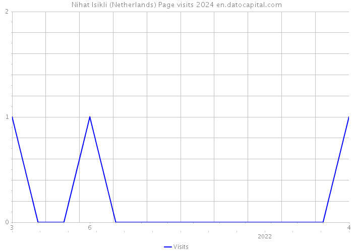 Nihat Isikli (Netherlands) Page visits 2024 