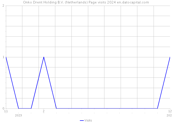 Onko Drent Holding B.V. (Netherlands) Page visits 2024 