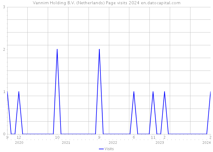 Vannim Holding B.V. (Netherlands) Page visits 2024 