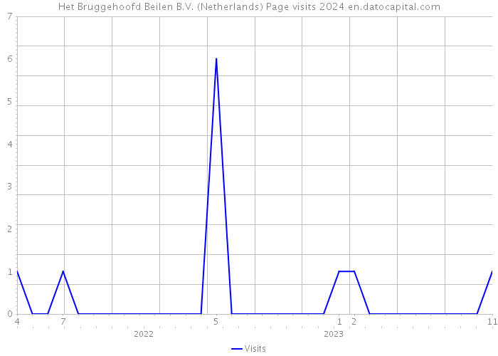 Het Bruggehoofd Beilen B.V. (Netherlands) Page visits 2024 