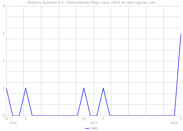 Endless Summer B.V. (Netherlands) Page visits 2024 
